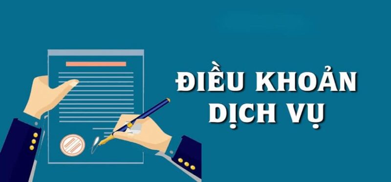 Đọc hiểu và đánh giá điều khoản dịch vụ