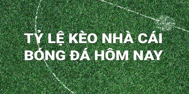 Lưu ý khi tham gia cược theo tỷ lệ kèo bóng đá